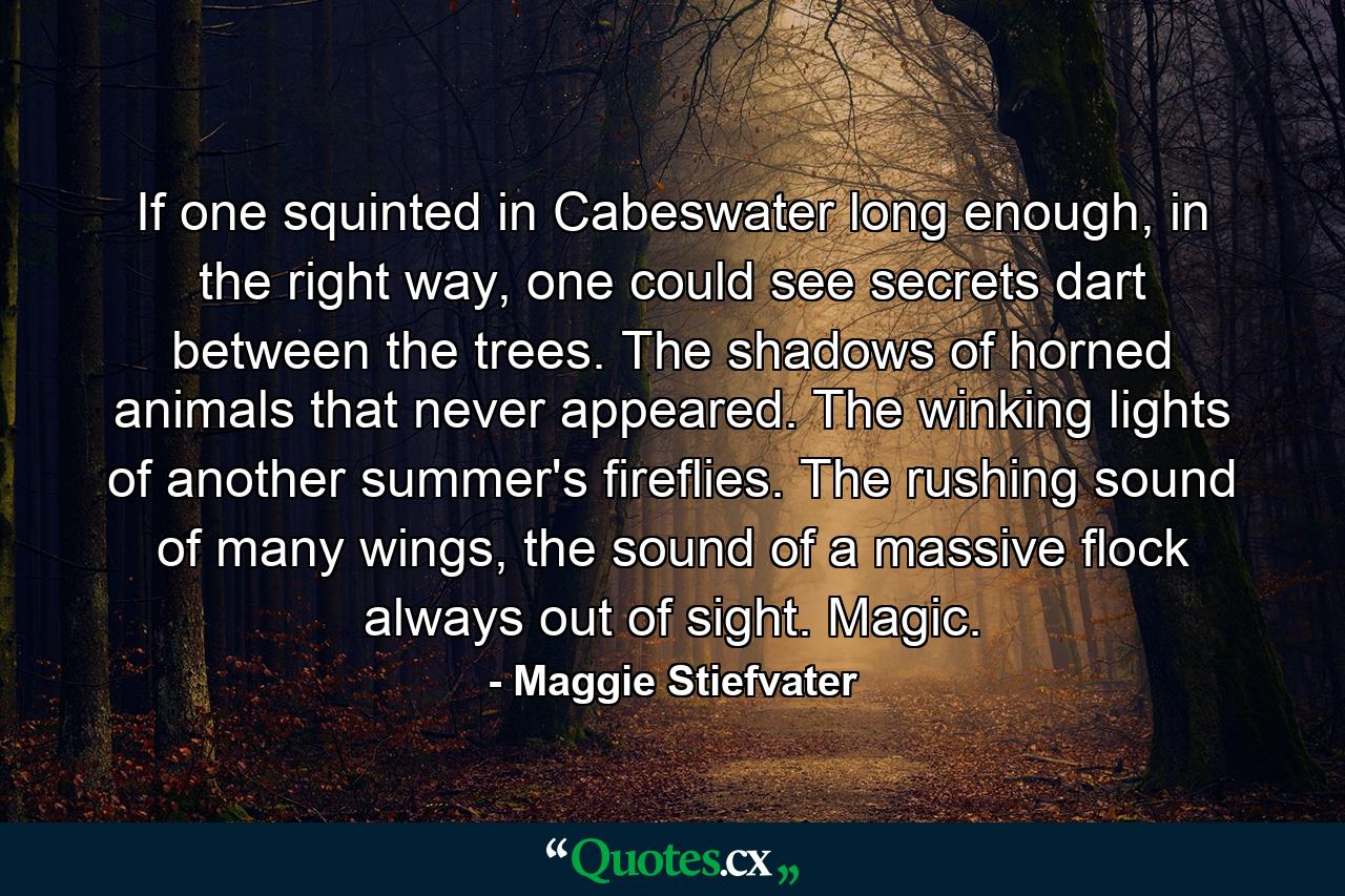 If one squinted in Cabeswater long enough, in the right way, one could see secrets dart between the trees. The shadows of horned animals that never appeared. The winking lights of another summer's fireflies. The rushing sound of many wings, the sound of a massive flock always out of sight. Magic. - Quote by Maggie Stiefvater