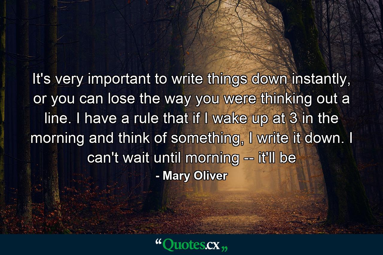 It's very important to write things down instantly, or you can lose the way you were thinking out a line. I have a rule that if I wake up at 3 in the morning and think of something, I write it down. I can't wait until morning -- it'll be - Quote by Mary Oliver