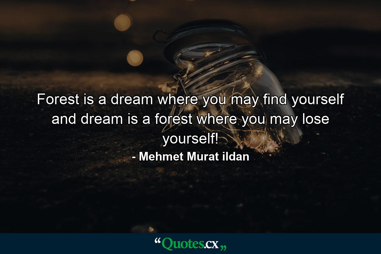 Forest is a dream where you may find yourself and dream is a forest where you may lose yourself! - Quote by Mehmet Murat ildan