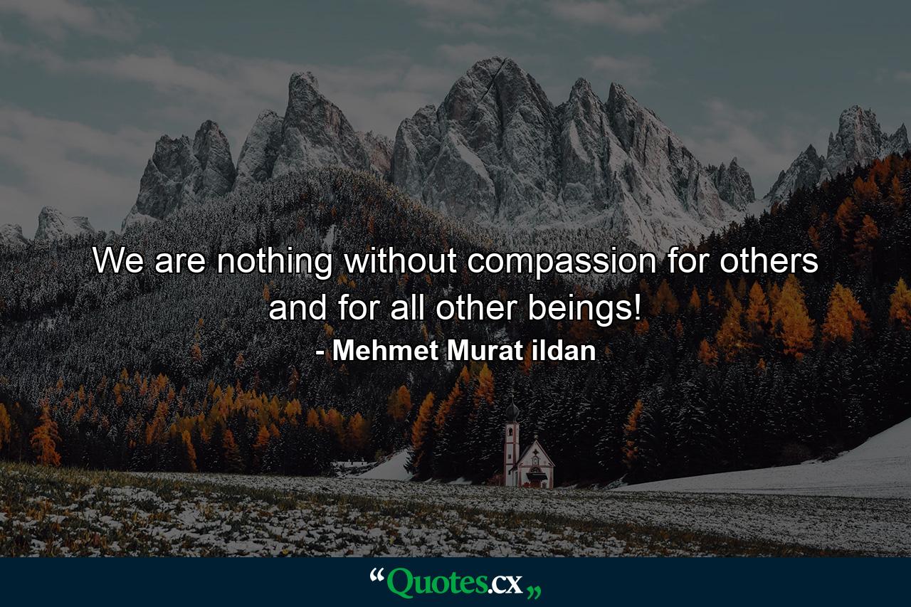 We are nothing without compassion for others and for all other beings! - Quote by Mehmet Murat ildan