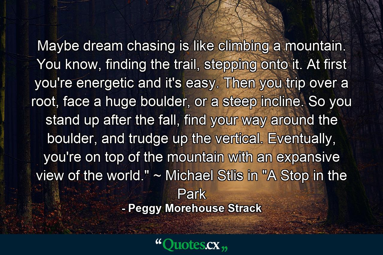 Maybe dream chasing is like climbing a mountain. You know, finding the trail, stepping onto it. At first you're energetic and it's easy. Then you trip over a root, face a huge boulder, or a steep incline. So you stand up after the fall, find your way around the boulder, and trudge up the vertical. Eventually, you're on top of the mountain with an expansive view of the world.