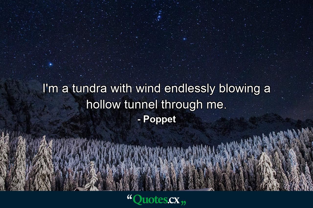 I'm a tundra with wind endlessly blowing a hollow tunnel through me. - Quote by Poppet