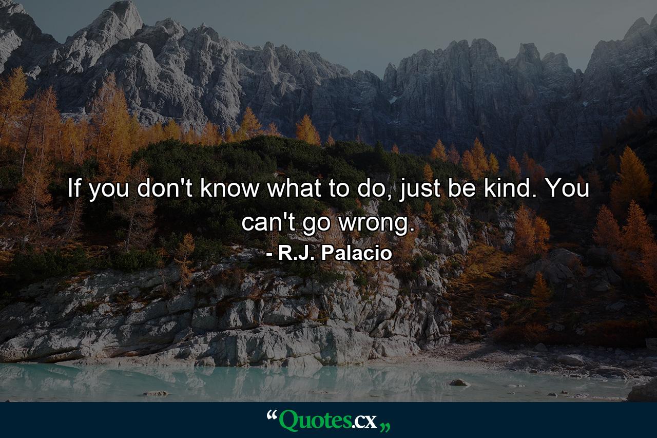 If you don't know what to do, just be kind. You can't go wrong. - Quote by R.J. Palacio