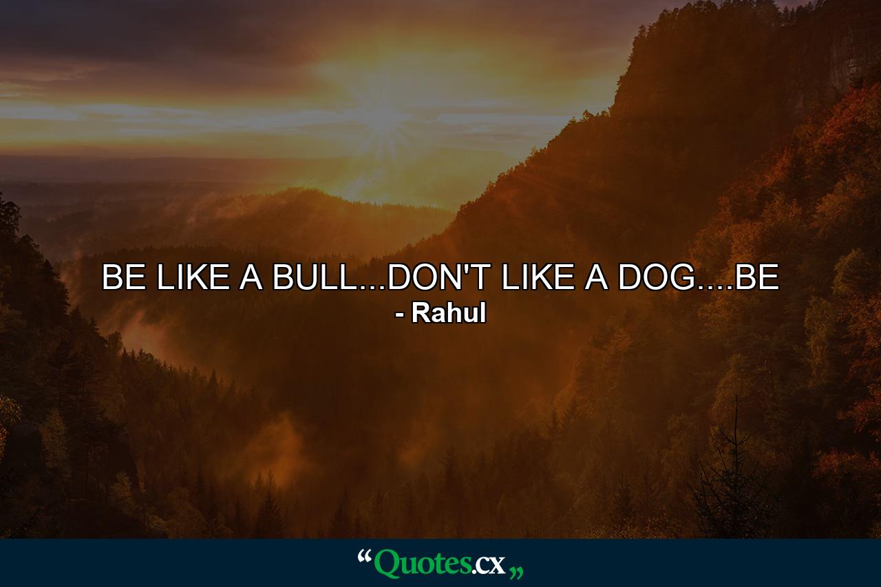 BE LIKE A BULL...DON'T LIKE A DOG....BE - Quote by Rahul