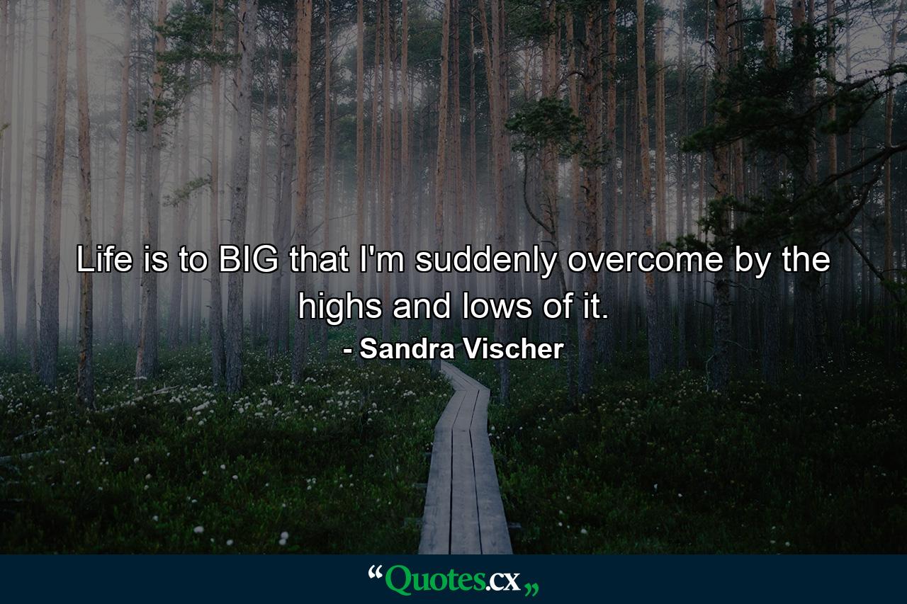 Life is to BIG that I'm suddenly overcome by the highs and lows of it. - Quote by Sandra Vischer