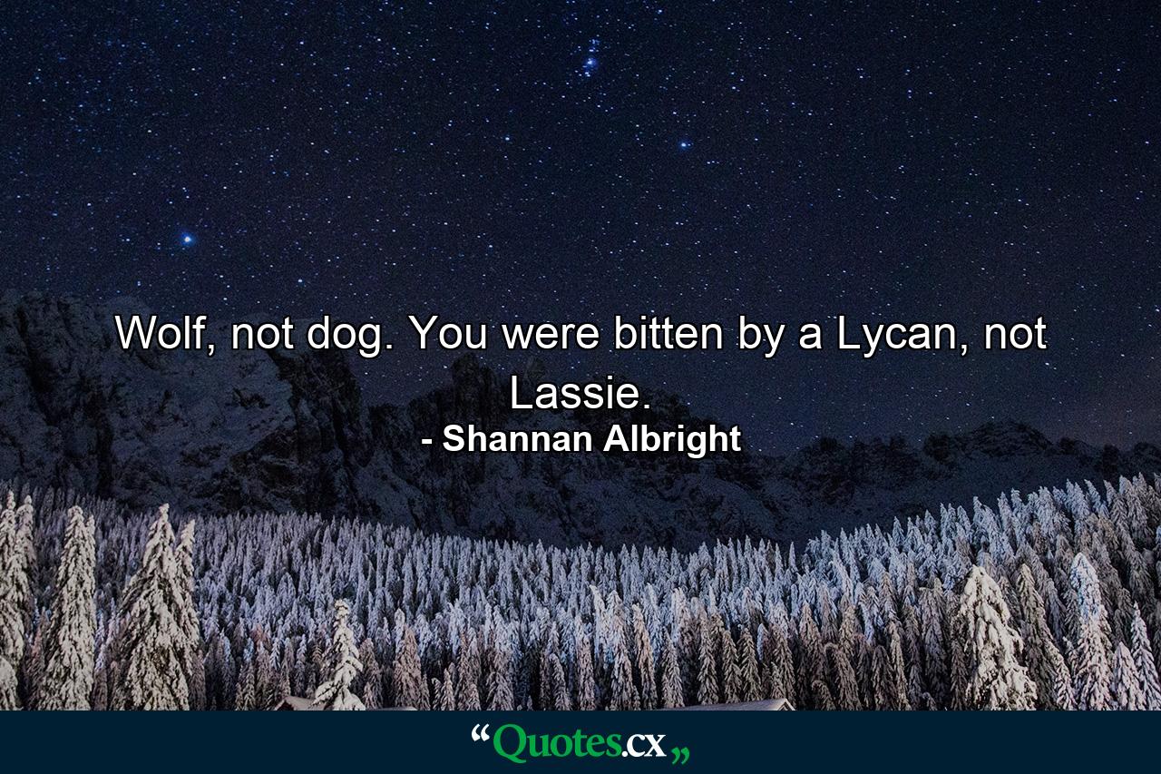 Wolf, not dog. You were bitten by a Lycan, not Lassie. - Quote by Shannan Albright