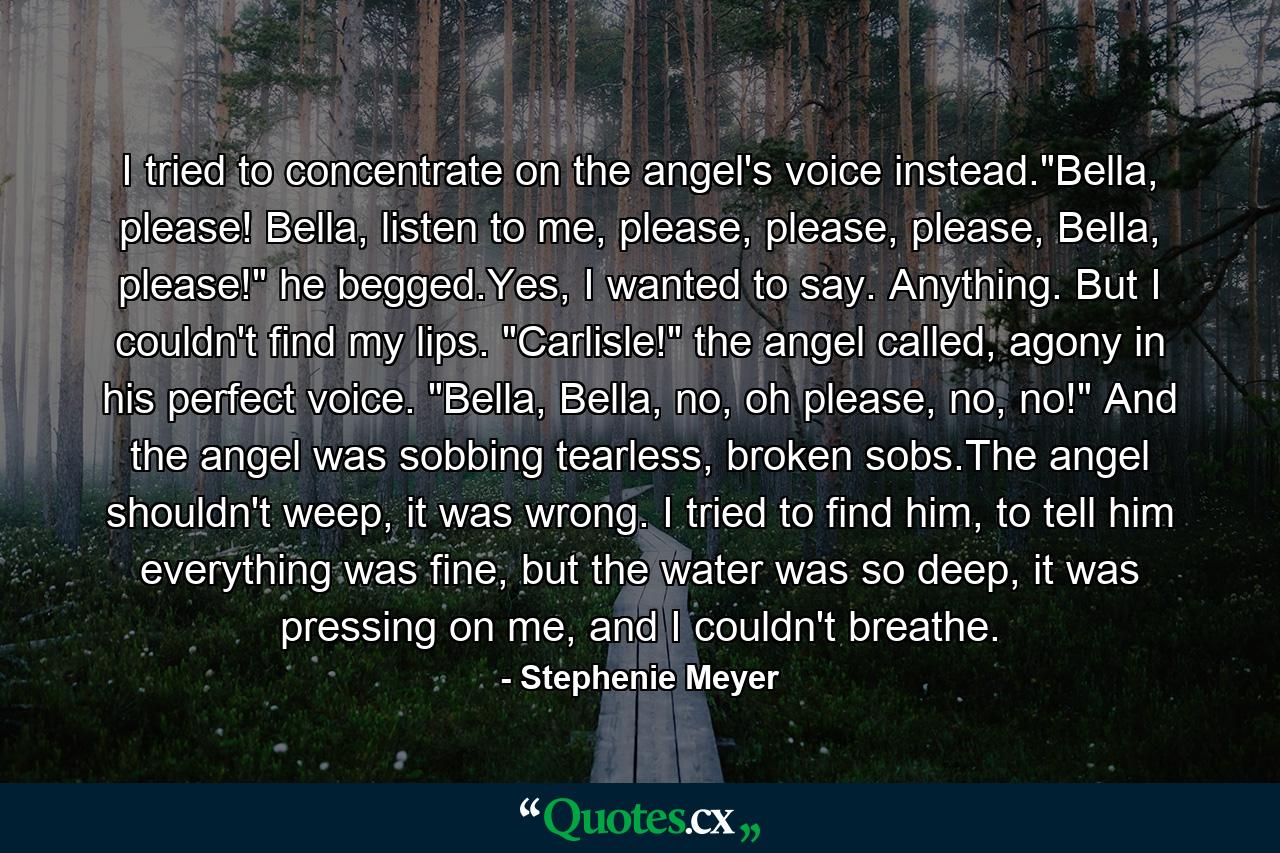 I tried to concentrate on the angel's voice instead.