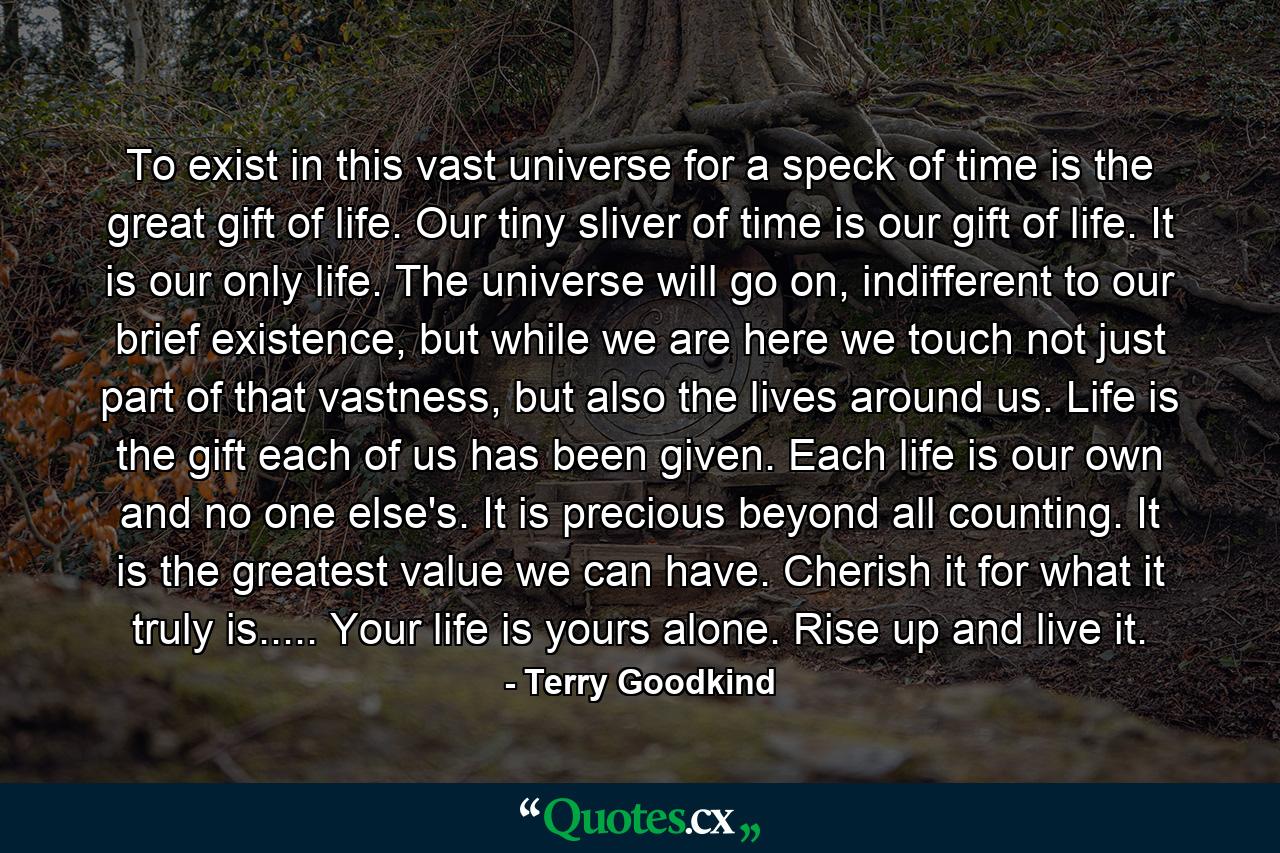 To exist in this vast universe for a speck of time is the great gift of life. Our tiny sliver of time is our gift of life. It is our only life. The universe will go on, indifferent to our brief existence, but while we are here we touch not just part of that vastness, but also the lives around us. Life is the gift each of us has been given. Each life is our own and no one else's. It is precious beyond all counting. It is the greatest value we can have. Cherish it for what it truly is..... Your life is yours alone. Rise up and live it. - Quote by Terry Goodkind