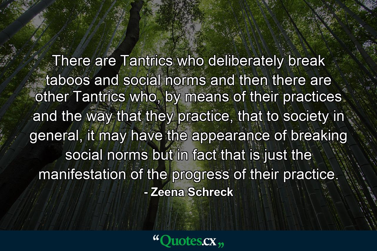 There are Tantrics who deliberately break taboos and social norms and then there are other Tantrics who, by means of their practices and the way that they practice, that to society in general, it may have the appearance of breaking social norms but in fact that is just the manifestation of the progress of their practice. - Quote by Zeena Schreck