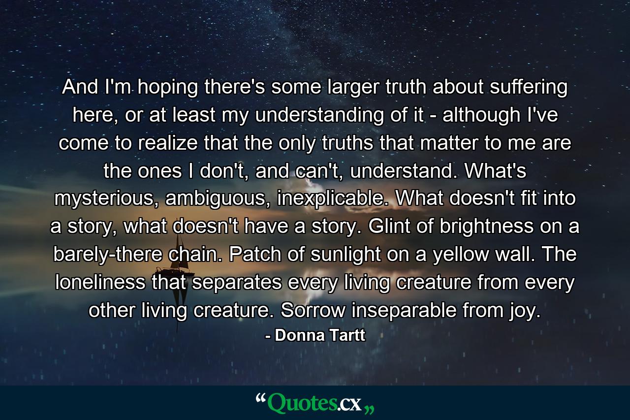 And I'm hoping there's some larger truth about suffering here, or at least my understanding of it - although I've come to realize that the only truths that matter to me are the ones I don't, and can't, understand. What's mysterious, ambiguous, inexplicable. What doesn't fit into a story, what doesn't have a story. Glint of brightness on a barely-there chain. Patch of sunlight on a yellow wall. The loneliness that separates every living creature from every other living creature. Sorrow inseparable from joy. - Quote by Donna Tartt