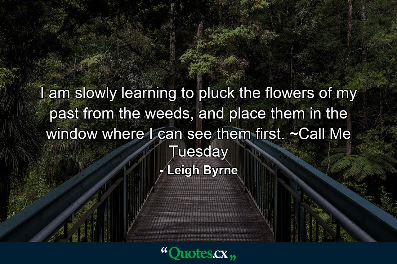 I am slowly learning to pluck the flowers of my past from the weeds, and place them in the window where I can see them first. ~Call Me Tuesday - Quote by Leigh Byrne