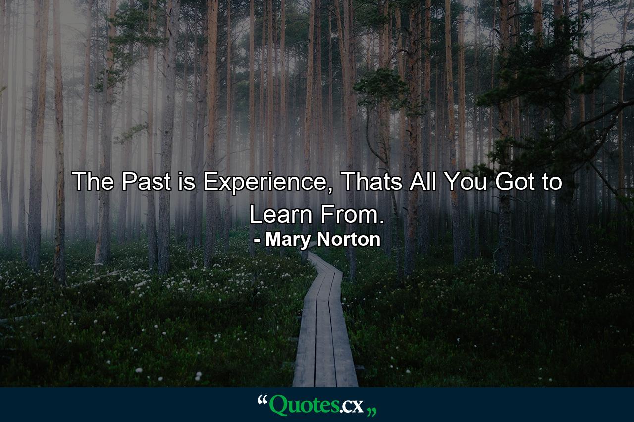 The Past is Experience, Thats All You Got to Learn From. - Quote by Mary Norton