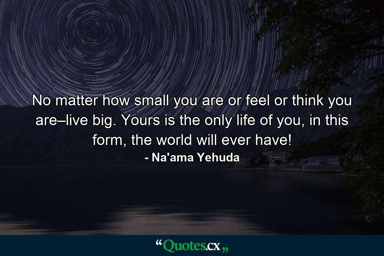 No matter how small you are or feel or think you are–live big. Yours is the only life of you, in this form, the world will ever have! - Quote by Na'ama Yehuda