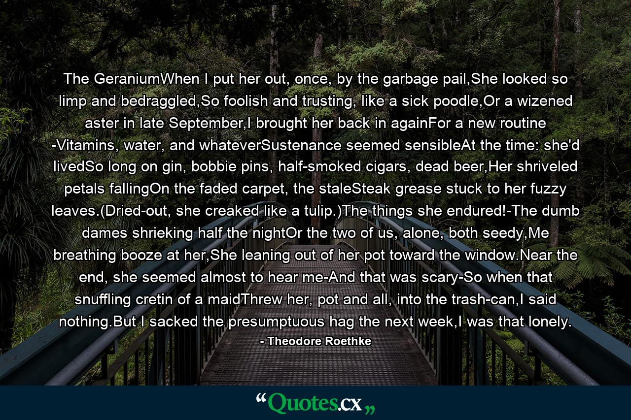 The GeraniumWhen I put her out, once, by the garbage pail,She looked so limp and bedraggled,So foolish and trusting, like a sick poodle,Or a wizened aster in late September,I brought her back in againFor a new routine -Vitamins, water, and whateverSustenance seemed sensibleAt the time: she'd livedSo long on gin, bobbie pins, half-smoked cigars, dead beer,Her shriveled petals fallingOn the faded carpet, the staleSteak grease stuck to her fuzzy leaves.(Dried-out, she creaked like a tulip.)The things she endured!-The dumb dames shrieking half the nightOr the two of us, alone, both seedy,Me breathing booze at her,She leaning out of her pot toward the window.Near the end, she seemed almost to hear me-And that was scary-So when that snuffling cretin of a maidThrew her, pot and all, into the trash-can,I said nothing.But I sacked the presumptuous hag the next week,I was that lonely. - Quote by Theodore Roethke