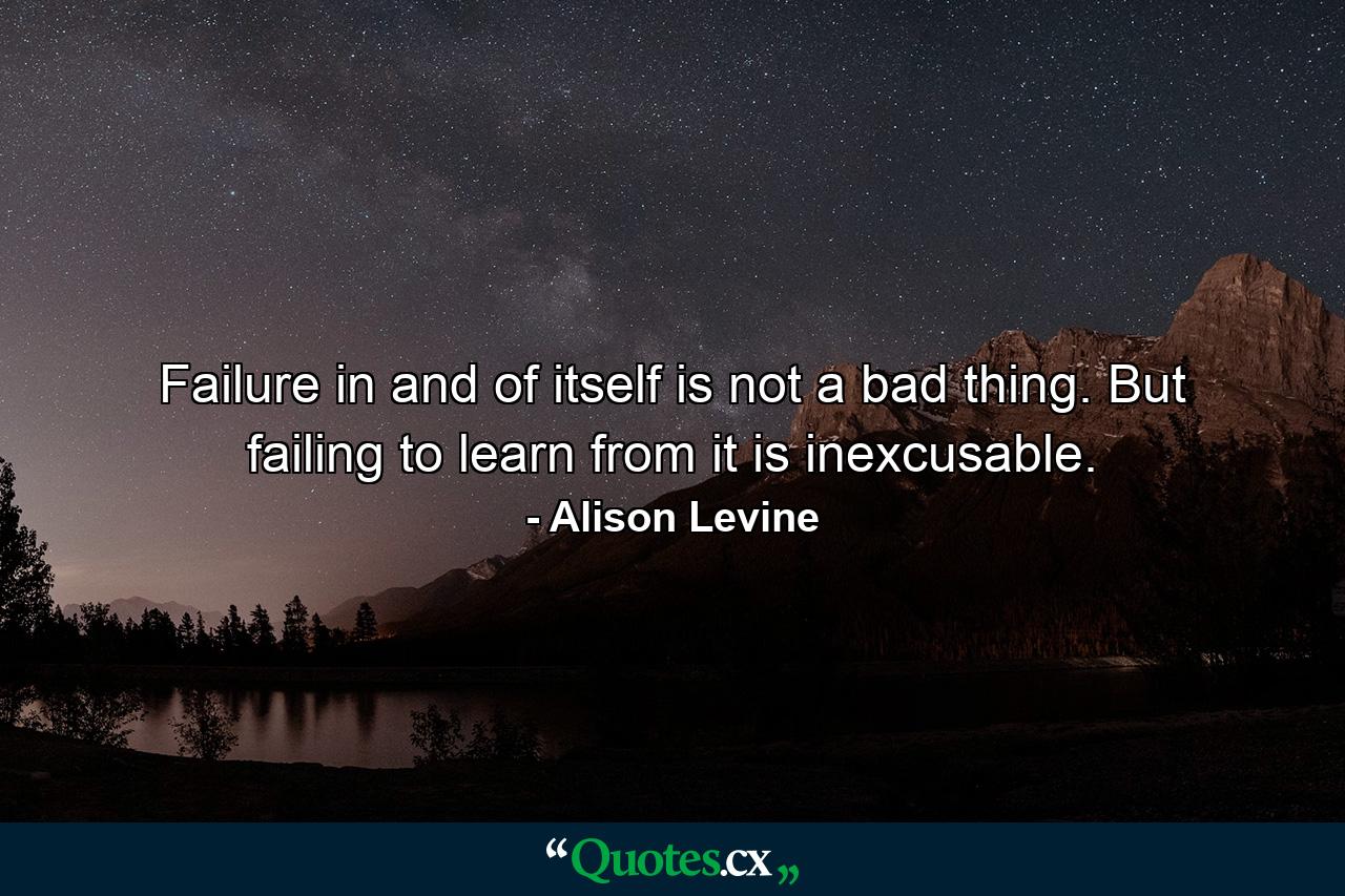 Failure in and of itself is not a bad thing. But failing to learn from it is inexcusable. - Quote by Alison Levine