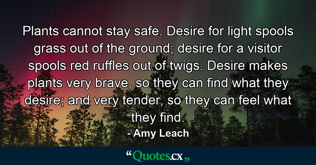 Plants cannot stay safe. Desire for light spools grass out of the ground; desire for a visitor spools red ruffles out of twigs. Desire makes plants very brave, so they can find what they desire; and very tender, so they can feel what they find. - Quote by Amy Leach