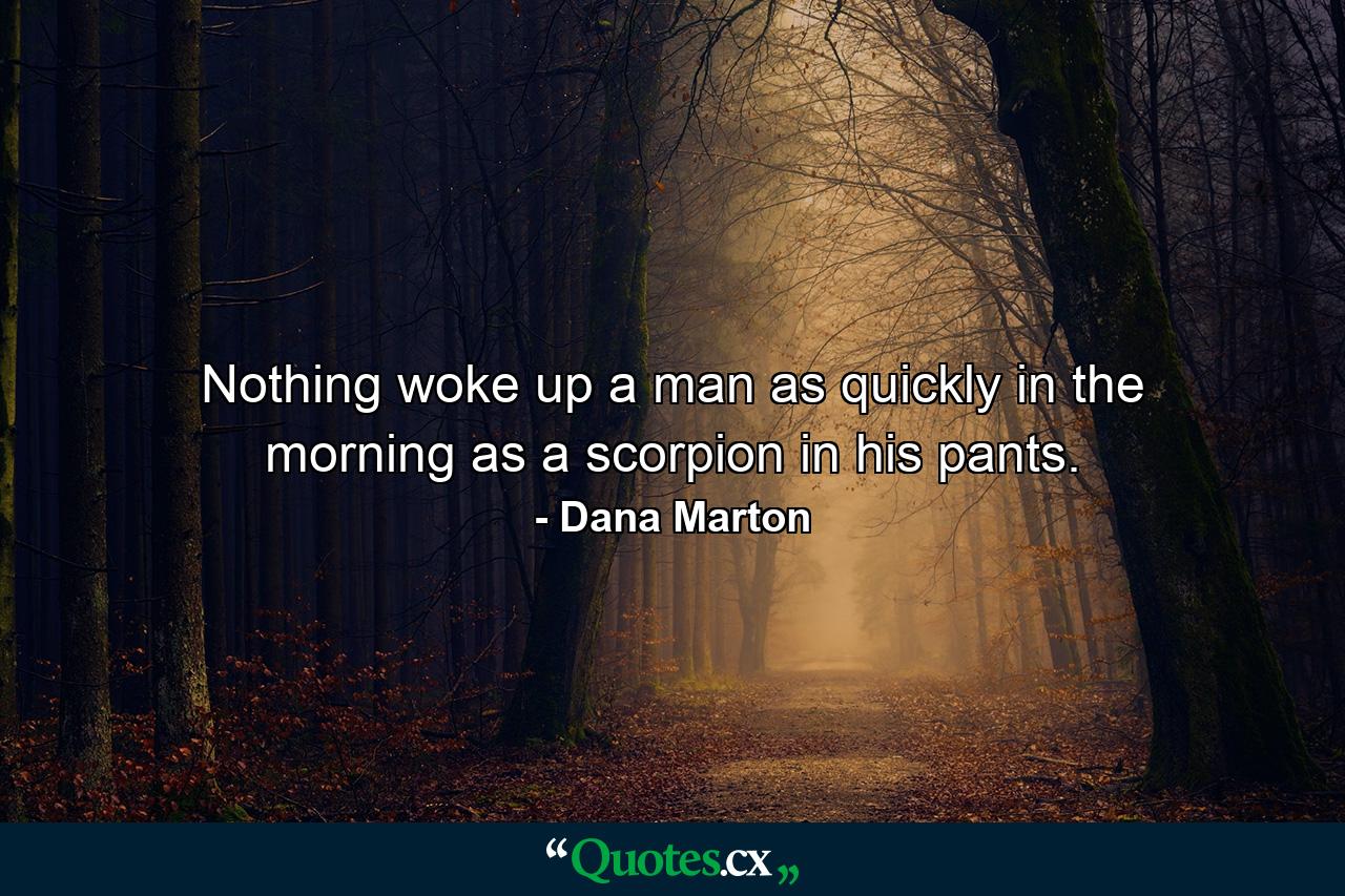 Nothing woke up a man as quickly in the morning as a scorpion in his pants. - Quote by Dana Marton