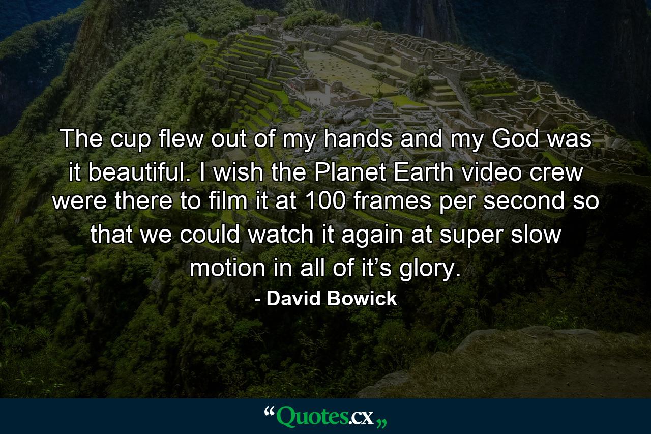 The cup flew out of my hands and my God was it beautiful. I wish the Planet Earth video crew were there to film it at 100 frames per second so that we could watch it again at super slow motion in all of it’s glory. - Quote by David Bowick