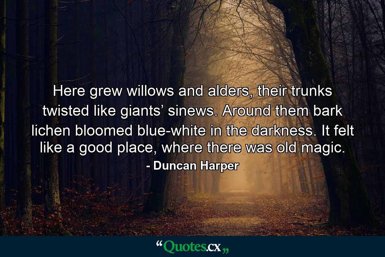 Here grew willows and alders, their trunks twisted like giants’ sinews. Around them bark lichen bloomed blue-white in the darkness. It felt like a good place, where there was old magic. - Quote by Duncan Harper