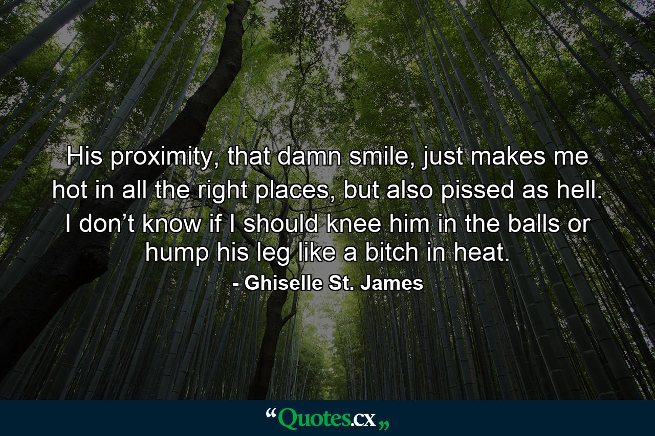 His proximity, that damn smile, just makes me hot in all the right places, but also pissed as hell. I don’t know if I should knee him in the balls or hump his leg like a bitch in heat. - Quote by Ghiselle St. James