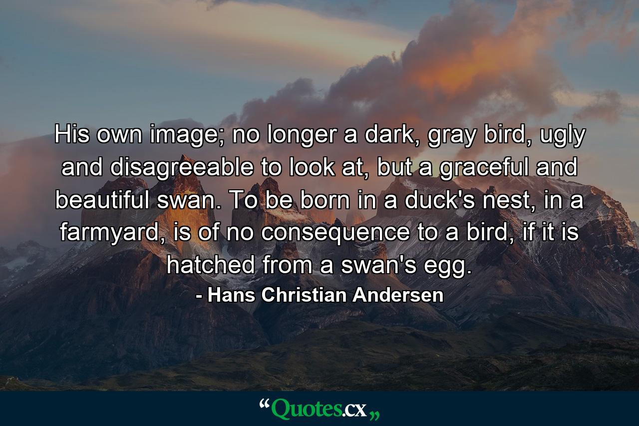 His own image; no longer a dark, gray bird, ugly and disagreeable to look at, but a graceful and beautiful swan. To be born in a duck's nest, in a farmyard, is of no consequence to a bird, if it is hatched from a swan's egg. - Quote by Hans Christian Andersen