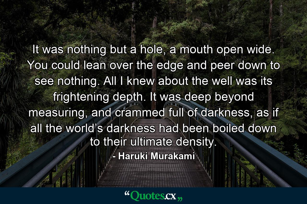 It was nothing but a hole, a mouth open wide. You could lean over the edge and peer down to see nothing. All I knew about the well was its frightening depth. It was deep beyond measuring, and crammed full of darkness, as if all the world’s darkness had been boiled down to their ultimate density. - Quote by Haruki Murakami