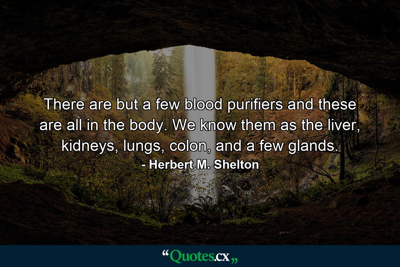 There are but a few blood purifiers and these are all in the body. We know them as the liver, kidneys, lungs, colon, and a few glands. - Quote by Herbert M. Shelton