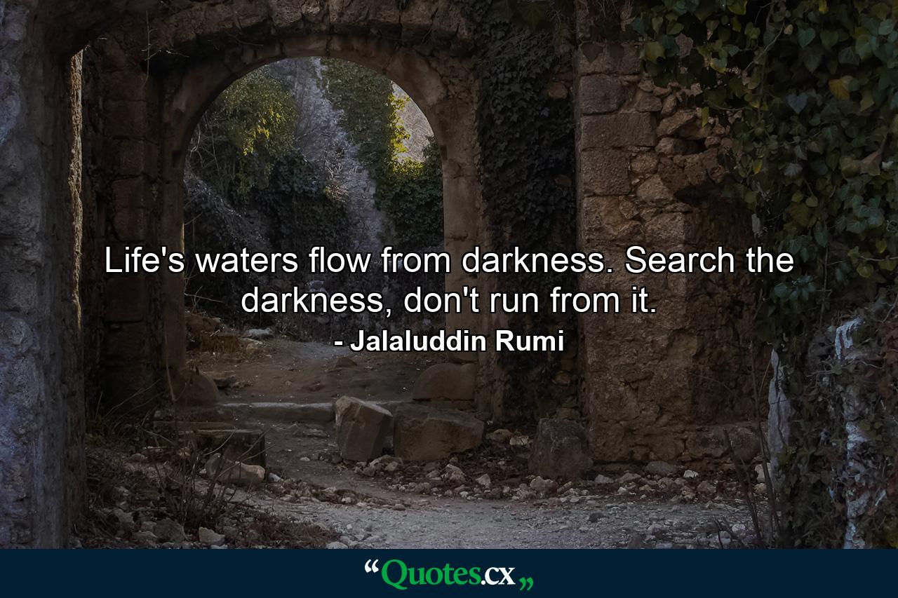 Life's waters flow from darkness. Search the darkness, don't run from it. - Quote by Jalaluddin Rumi