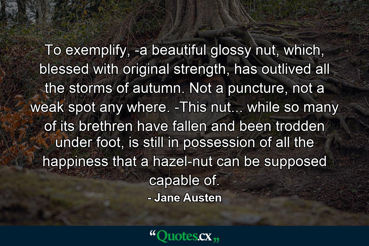 To exemplify, -a beautiful glossy nut, which, blessed with original strength, has outlived all the storms of autumn. Not a puncture, not a weak spot any where. -This nut... while so many of its brethren have fallen and been trodden under foot, is still in possession of all the happiness that a hazel-nut can be supposed capable of. - Quote by Jane Austen