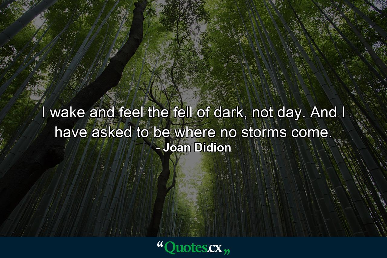 I wake and feel the fell of dark, not day. And I have asked to be where no storms come. - Quote by Joan Didion