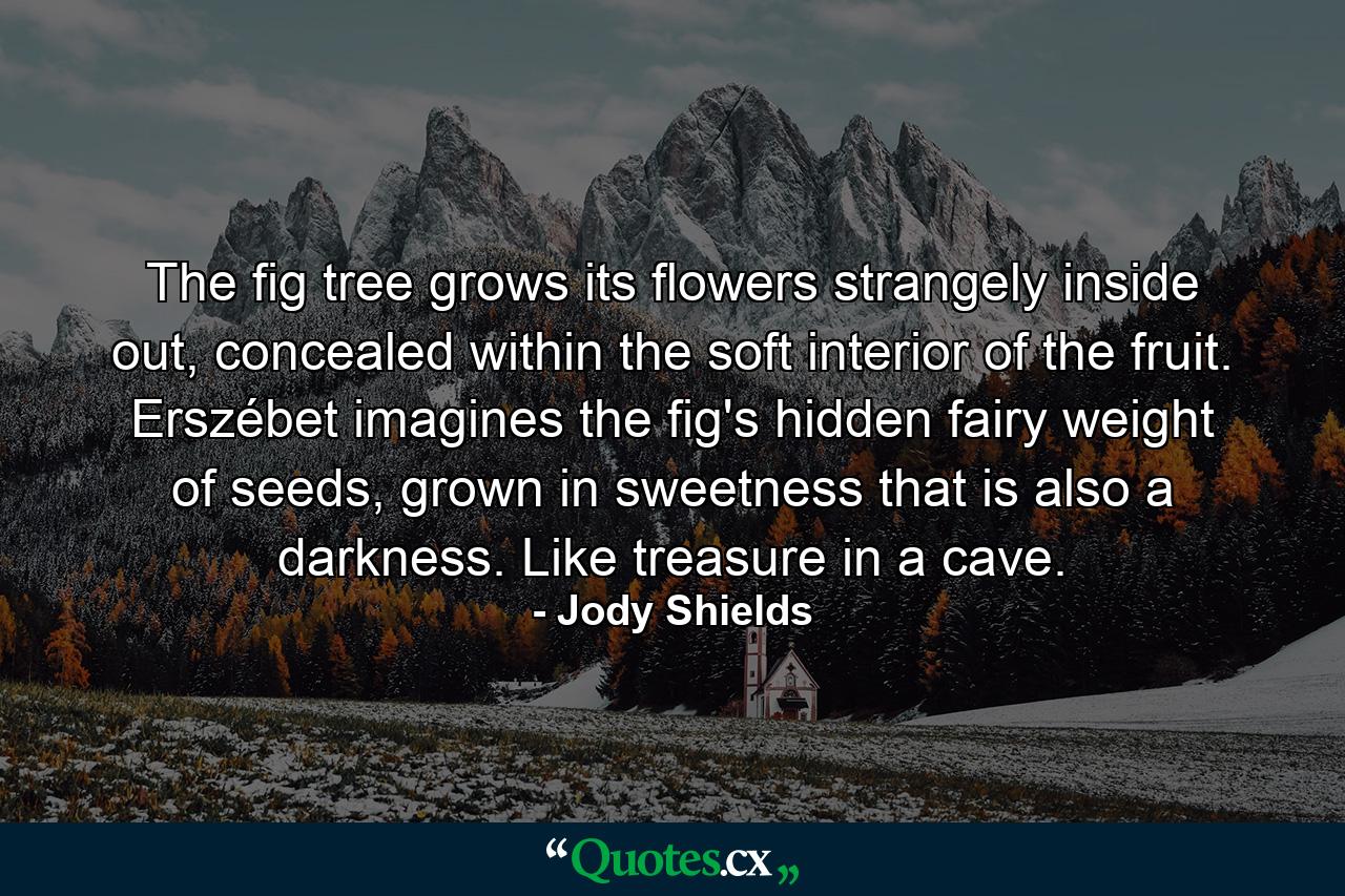 The fig tree grows its flowers strangely inside out, concealed within the soft interior of the fruit. Erszébet imagines the fig's hidden fairy weight of seeds, grown in sweetness that is also a darkness. Like treasure in a cave. - Quote by Jody Shields