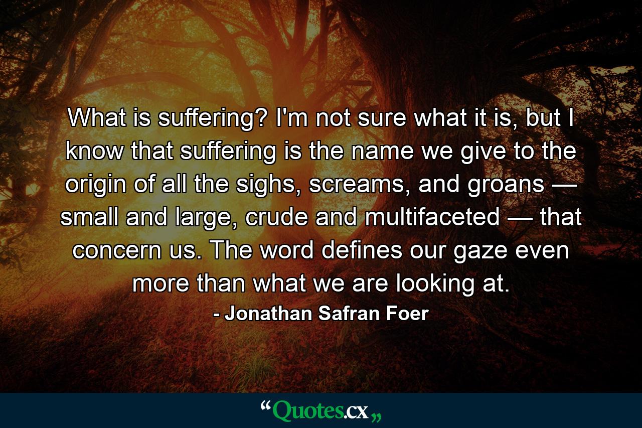 What is suffering? I'm not sure what it is, but I know that suffering is the name we give to the origin of all the sighs, screams, and groans — small and large, crude and multifaceted — that concern us. The word defines our gaze even more than what we are looking at. - Quote by Jonathan Safran Foer