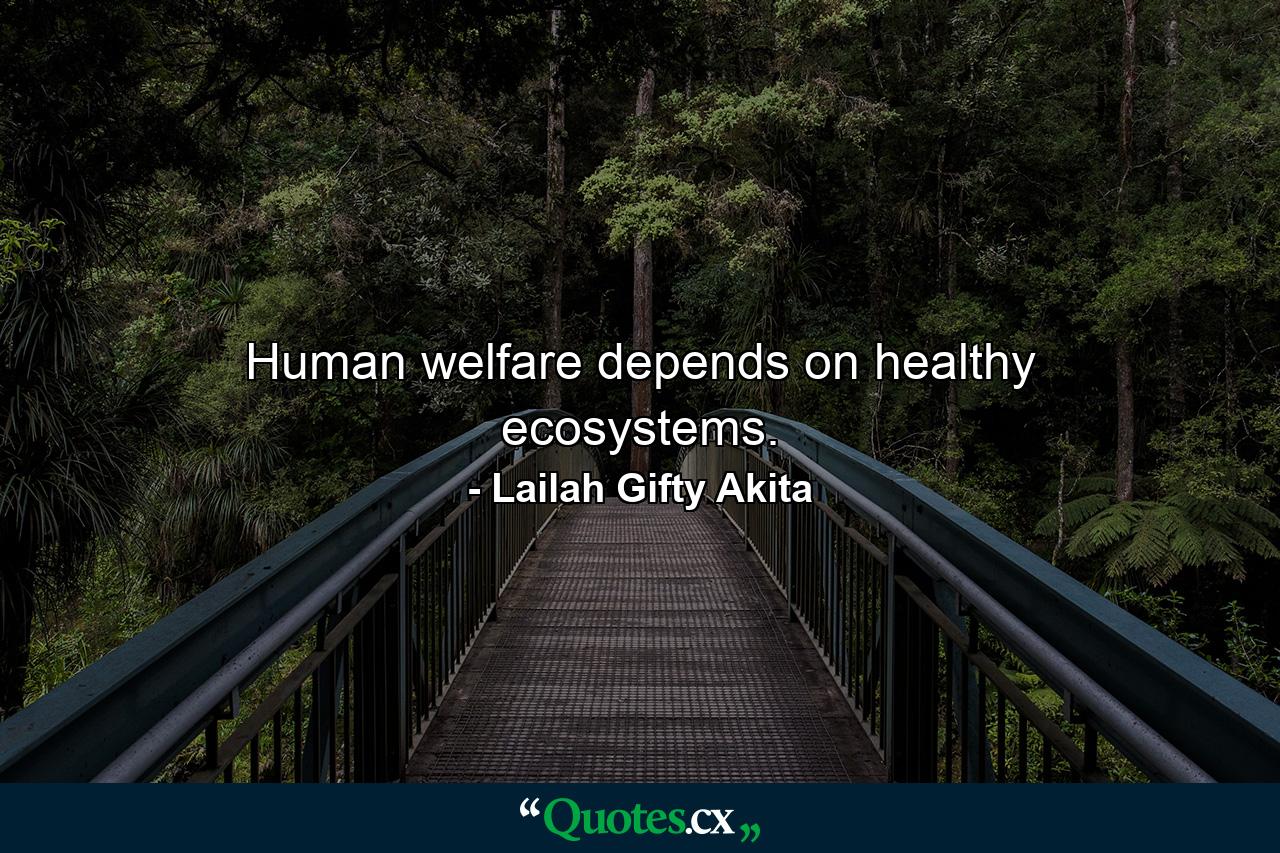 Human welfare depends on healthy ecosystems. - Quote by Lailah Gifty Akita