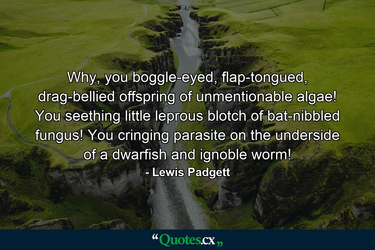 Why, you boggle-eyed, flap-tongued, drag-bellied offspring of unmentionable algae! You seething little leprous blotch of bat-nibbled fungus! You cringing parasite on the underside of a dwarfish and ignoble worm! - Quote by Lewis Padgett