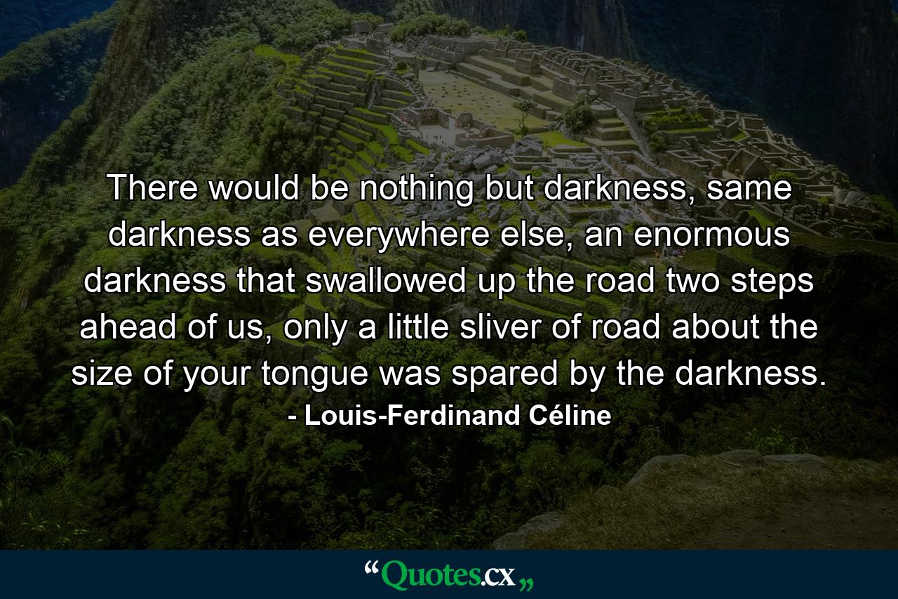 There would be nothing but darkness, same darkness as everywhere else, an enormous darkness that swallowed up the road two steps ahead of us, only a little sliver of road about the size of your tongue was spared by the darkness. - Quote by Louis-Ferdinand Céline