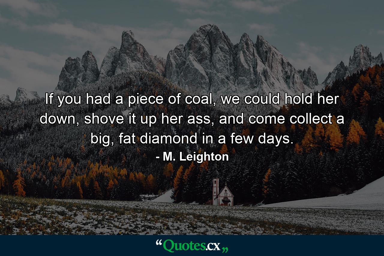 If you had a piece of coal, we could hold her down, shove it up her ass, and come collect a big, fat diamond in a few days. - Quote by M. Leighton