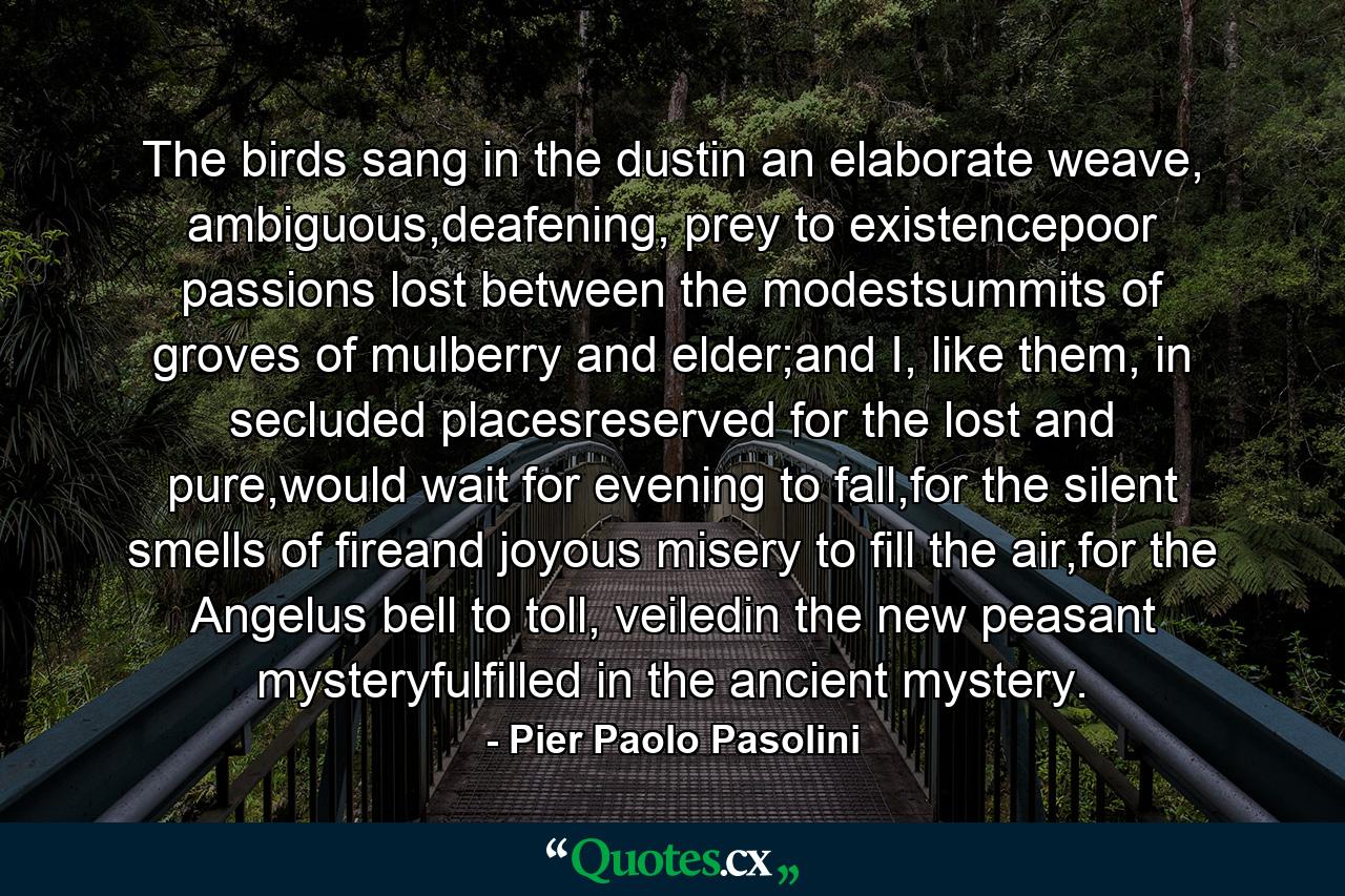 The birds sang in the dustin an elaborate weave, ambiguous,deafening, prey to existencepoor passions lost between the modestsummits of groves of mulberry and elder;and I, like them, in secluded placesreserved for the lost and pure,would wait for evening to fall,for the silent smells of fireand joyous misery to fill the air,for the Angelus bell to toll, veiledin the new peasant mysteryfulfilled in the ancient mystery. - Quote by Pier Paolo Pasolini