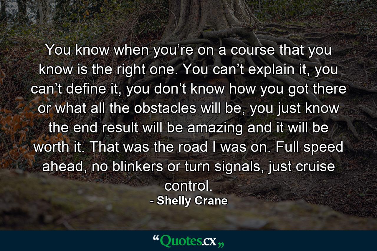 You know when you’re on a course that you know is the right one. You can’t explain it, you can’t define it, you don’t know how you got there or what all the obstacles will be, you just know the end result will be amazing and it will be worth it. That was the road I was on. Full speed ahead, no blinkers or turn signals, just cruise control. - Quote by Shelly Crane