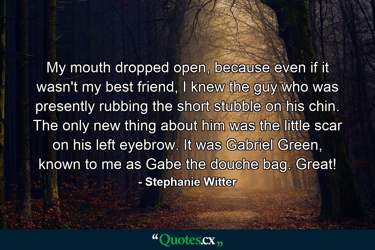 My mouth dropped open, because even if it wasn't my best friend, I knew the guy who was presently rubbing the short stubble on his chin. The only new thing about him was the little scar on his left eyebrow. It was Gabriel Green, known to me as Gabe the douche bag. Great! - Quote by Stephanie Witter