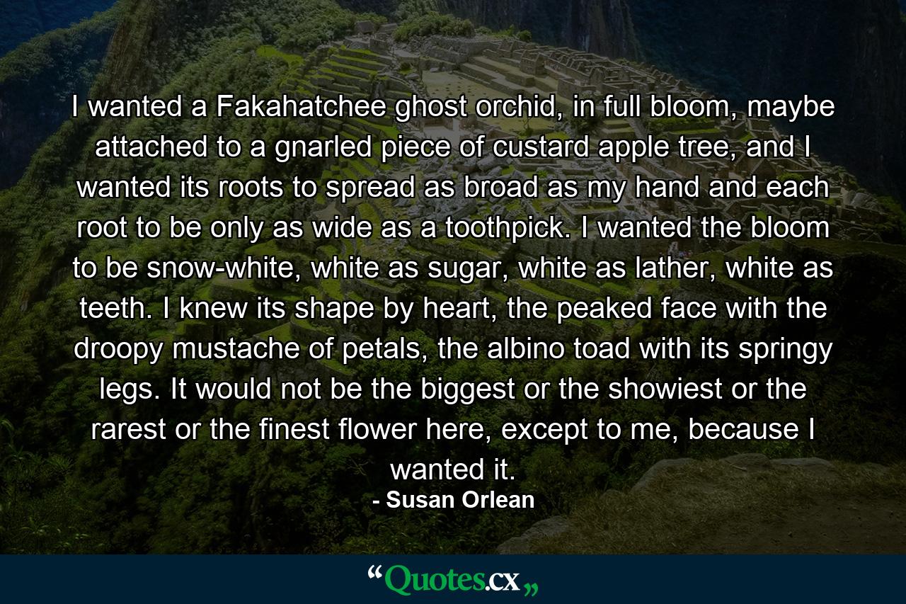 I wanted a Fakahatchee ghost orchid, in full bloom, maybe attached to a gnarled piece of custard apple tree, and I wanted its roots to spread as broad as my hand and each root to be only as wide as a toothpick. I wanted the bloom to be snow-white, white as sugar, white as lather, white as teeth. I knew its shape by heart, the peaked face with the droopy mustache of petals, the albino toad with its springy legs. It would not be the biggest or the showiest or the rarest or the finest flower here, except to me, because I wanted it. - Quote by Susan Orlean