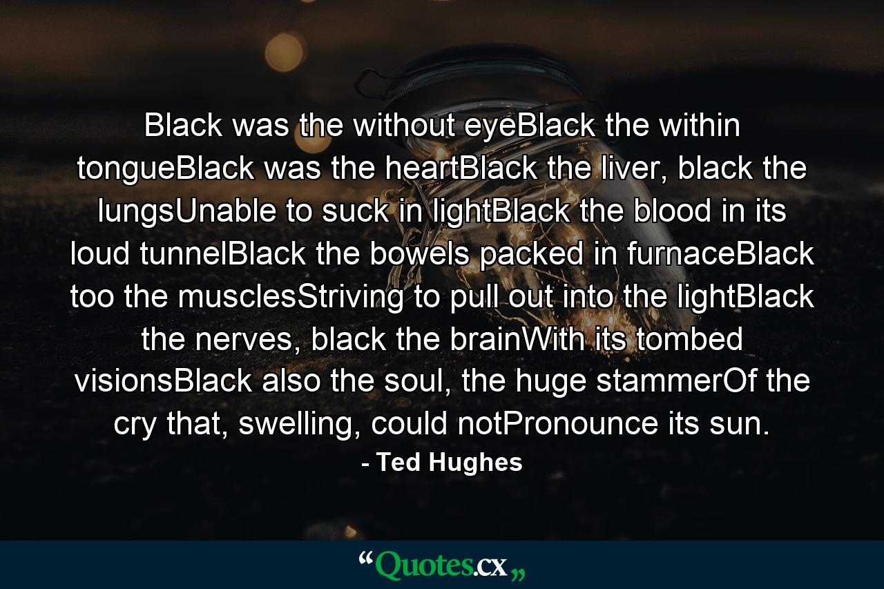 Black was the without eyeBlack the within tongueBlack was the heartBlack the liver, black the lungsUnable to suck in lightBlack the blood in its loud tunnelBlack the bowels packed in furnaceBlack too the musclesStriving to pull out into the lightBlack the nerves, black the brainWith its tombed visionsBlack also the soul, the huge stammerOf the cry that, swelling, could notPronounce its sun. - Quote by Ted Hughes