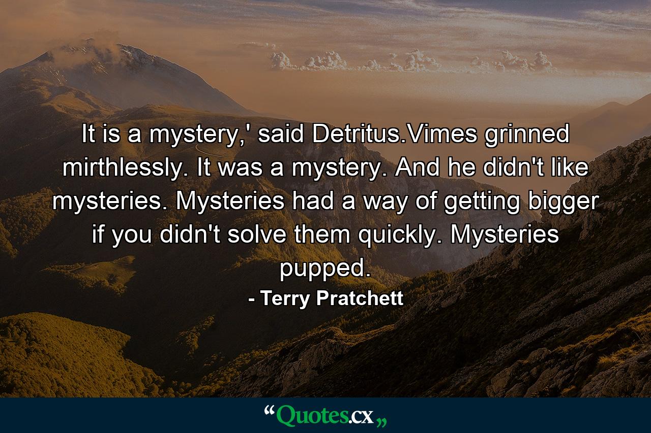 It is a mystery,' said Detritus.Vimes grinned mirthlessly. It was a mystery. And he didn't like mysteries. Mysteries had a way of getting bigger if you didn't solve them quickly. Mysteries pupped. - Quote by Terry Pratchett