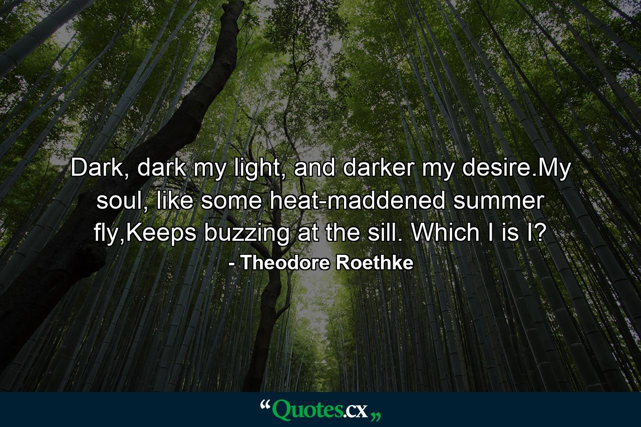 Dark, dark my light, and darker my desire.My soul, like some heat-maddened summer fly,Keeps buzzing at the sill. Which I is I? - Quote by Theodore Roethke