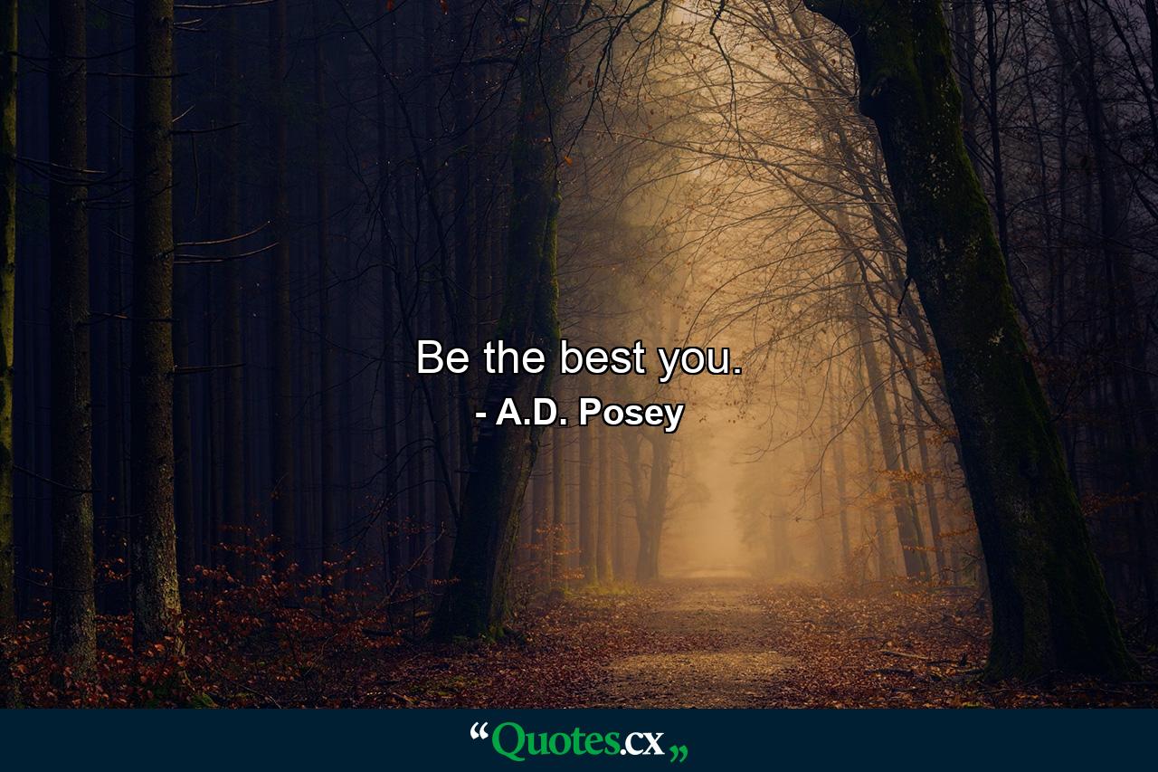 Be the best you. - Quote by A.D. Posey