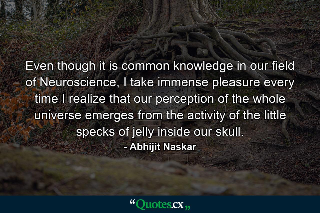 Even though it is common knowledge in our field of Neuroscience, I take immense pleasure every time I realize that our perception of the whole universe emerges from the activity of the little specks of jelly inside our skull. - Quote by Abhijit Naskar