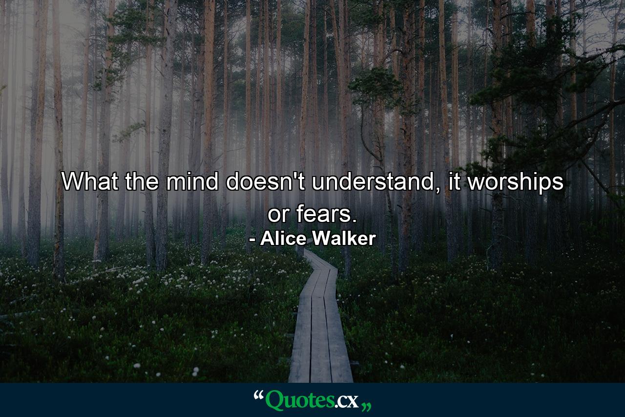 What the mind doesn't understand, it worships or fears. - Quote by Alice Walker