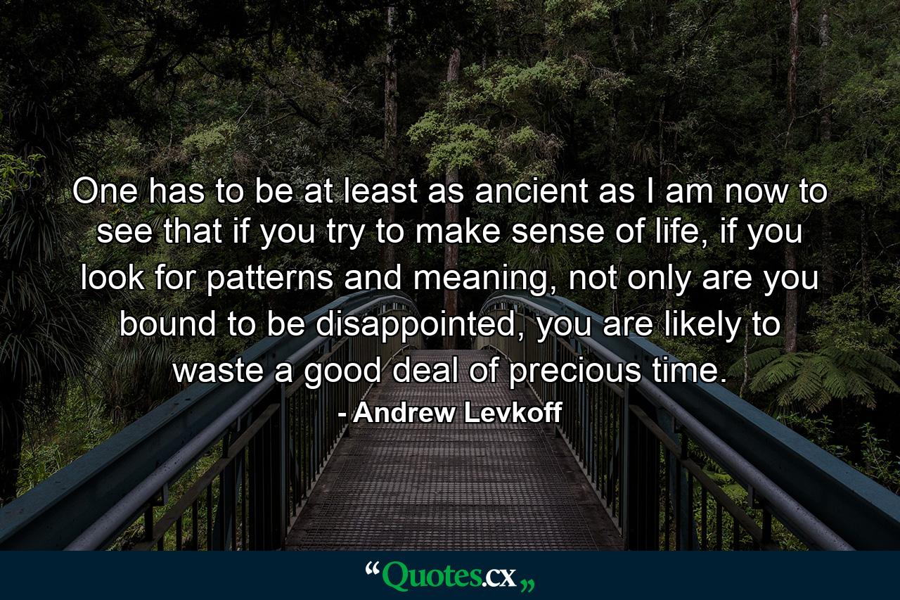 One has to be at least as ancient as I am now to see that if you try to make sense of life, if you look for patterns and meaning, not only are you bound to be disappointed, you are likely to waste a good deal of precious time. - Quote by Andrew Levkoff