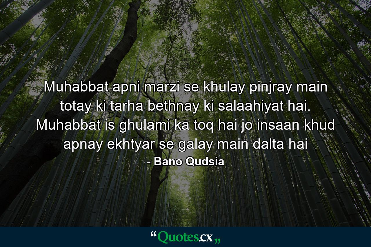 Muhabbat apni marzi se khulay pinjray main totay ki tarha bethnay ki salaahiyat hai. Muhabbat is ghulami ka toq hai jo insaan khud apnay ekhtyar se galay main dalta hai - Quote by Bano Qudsia