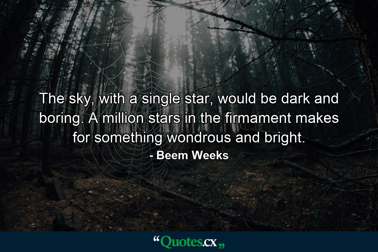 The sky, with a single star, would be dark and boring. A million stars in the firmament makes for something wondrous and bright. - Quote by Beem Weeks