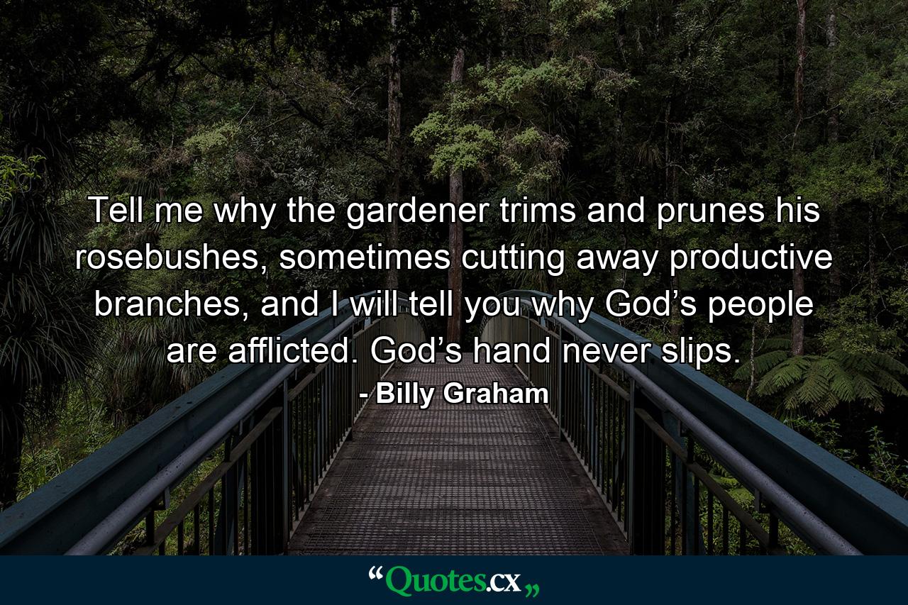 Tell me why the gardener trims and prunes his rosebushes, sometimes cutting away productive branches, and I will tell you why God’s people are afflicted. God’s hand never slips. - Quote by Billy Graham